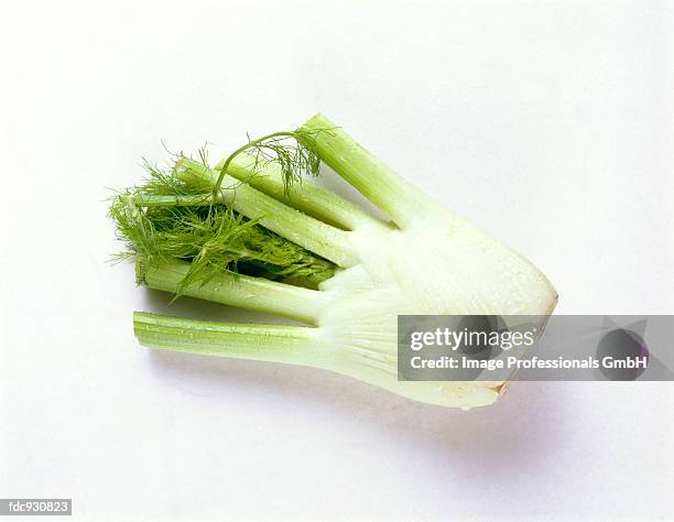 fennel - fennel stock pictures, royalty-free photos & images