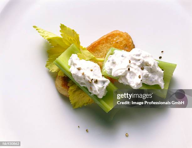 branch celery with cheese stuffing - roquefort cheese stock pictures, royalty-free photos & images