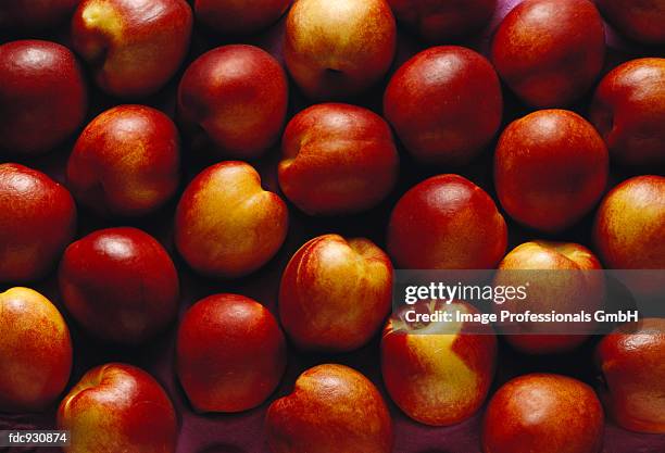 many nectarines on market tray - many stock pictures, royalty-free photos & images