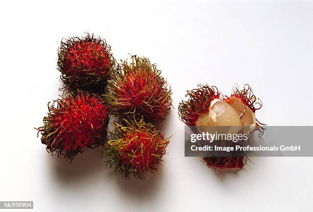 3 Na Rambutan 1,424 Rambutan Stock Photos, High-Res Pictures, and Images - Getty Images
