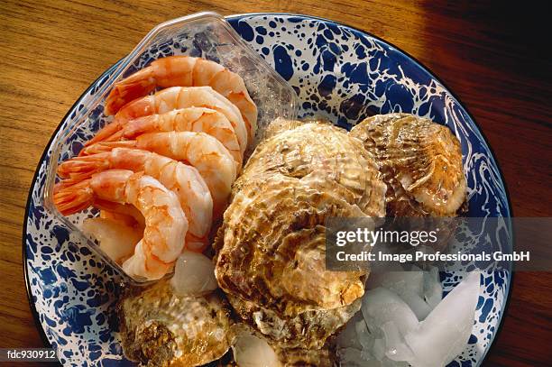 oysters on ice & boiled shrimp - boiled shrimp stock pictures, royalty-free photos & images