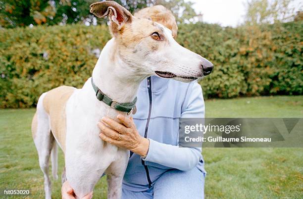 a woman petting a dog - simoneau stock-fotos und bilder