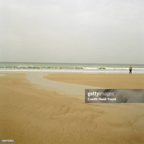a person standing on a beach - heidi stock-fotos und bilder
