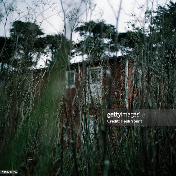 a house obscured by vegetation - heidi stock-fotos und bilder