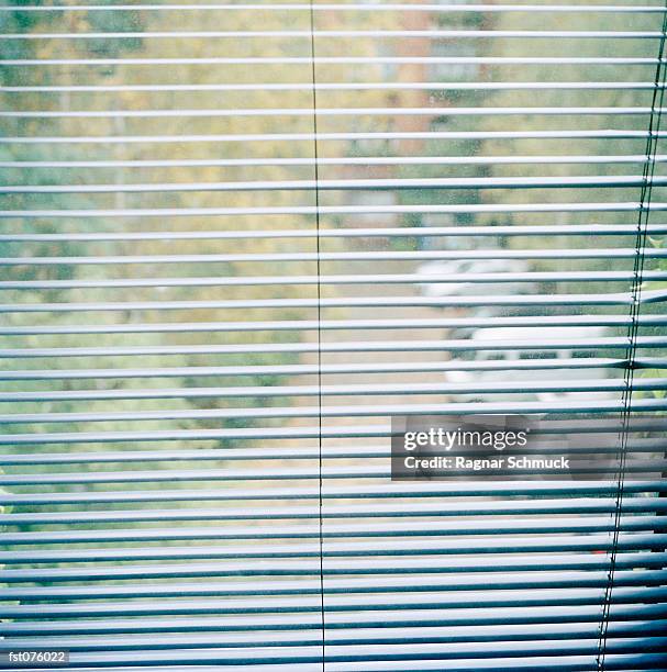 a parking lot through a set of blinds - schmuck - fotografias e filmes do acervo