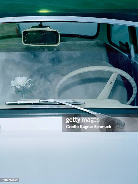 a flower on the dashboard of a car - schmuck - fotografias e filmes do acervo