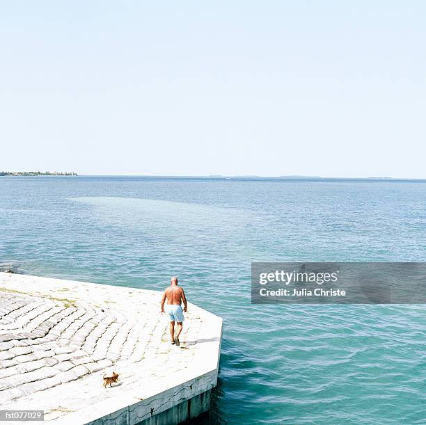 man walking dog by water?s edge, florida, usa - julia an stock pictures, royalty-free photos & images