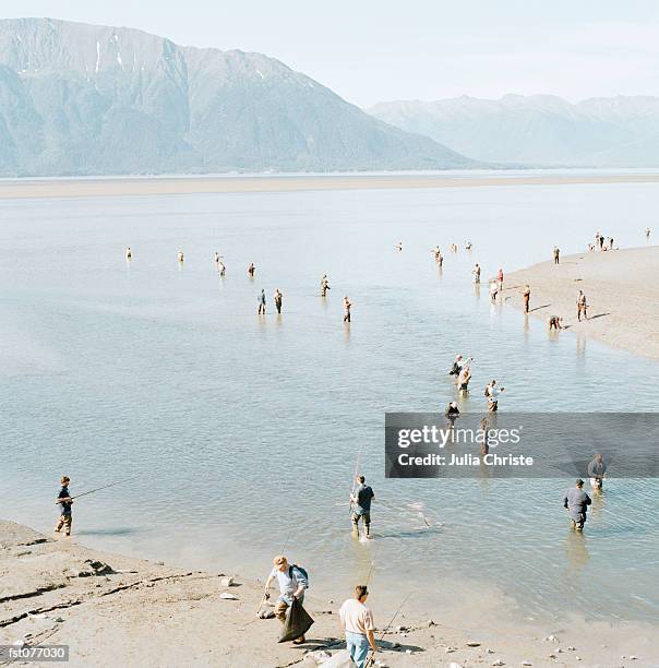 fishermen wading in water, alaska, usa - julia the 個照片及圖片檔