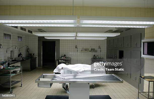 pathology department in a hospital - dead body morgue stock pictures, royalty-free photos & images