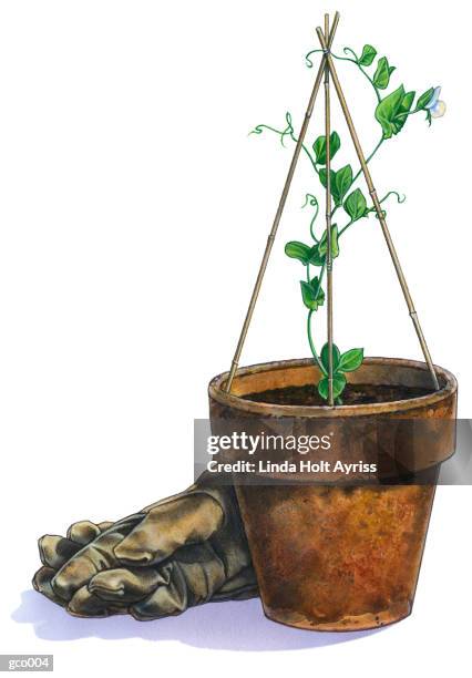 potted plant & gloves - linda stock illustrations