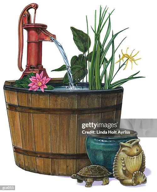 water garden - linda stock illustrations