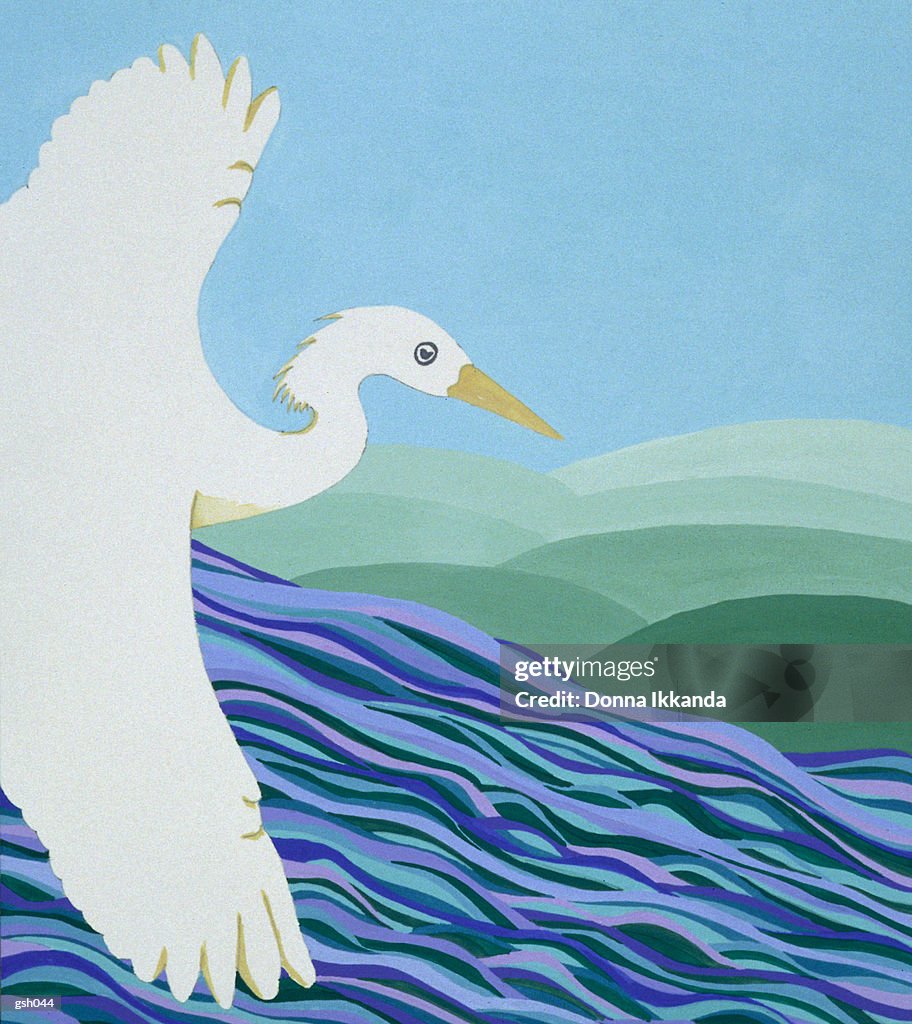 White Crane