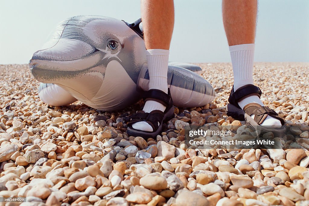 Inflatable dolphin on pebble beach