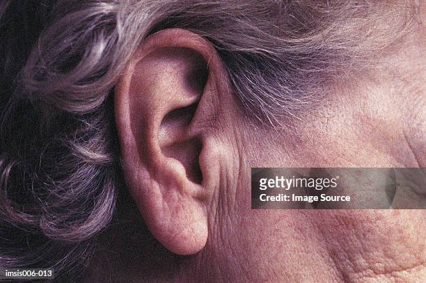 ear - ear stockfoto's en -beelden