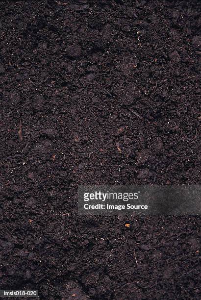 soil - erdboden stock-fotos und bilder