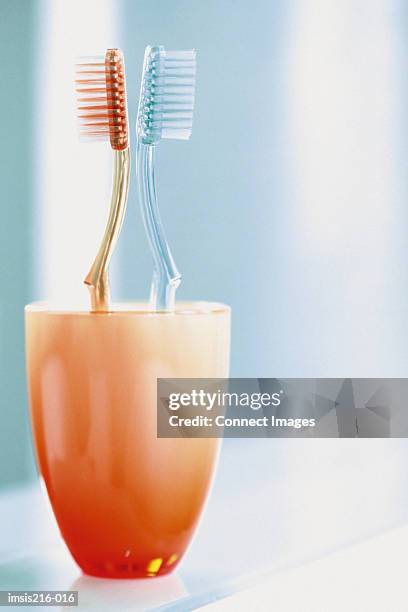 toothbrushes in a cup - toothbrush holder stock pictures, royalty-free photos & images