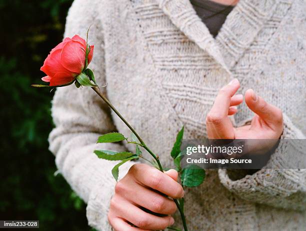 girl hurts her finger on a rose thorn - doorn stockfoto's en -beelden