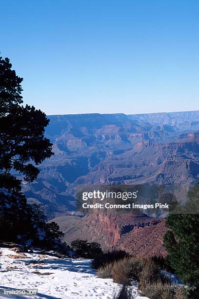 grand canyon - travel11 stock pictures, royalty-free photos & images