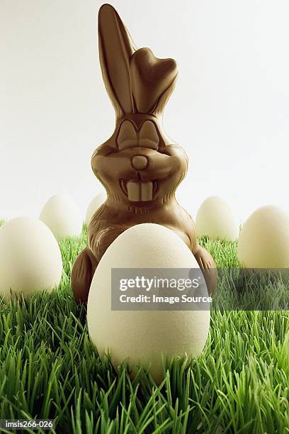 chocolate easter bunny and eggs - chocolate bunny stock-fotos und bilder