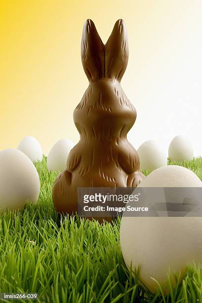 chocolate easter bunny and eggs - chocolate bunny stock-fotos und bilder