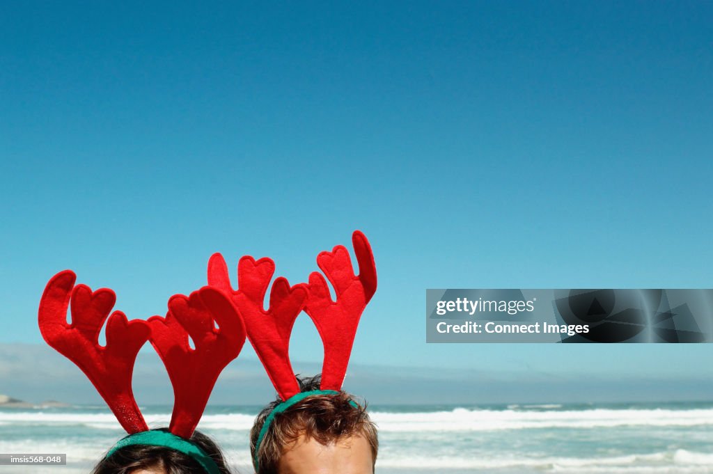 Reindeer head decoration