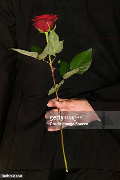 senior man holding a red rose - single rose ストックフォトと画像