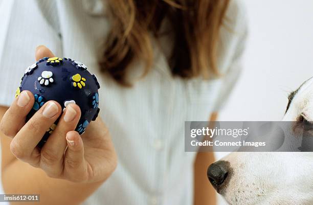 dog and lady owner with ball - dog toy stock pictures, royalty-free photos & images