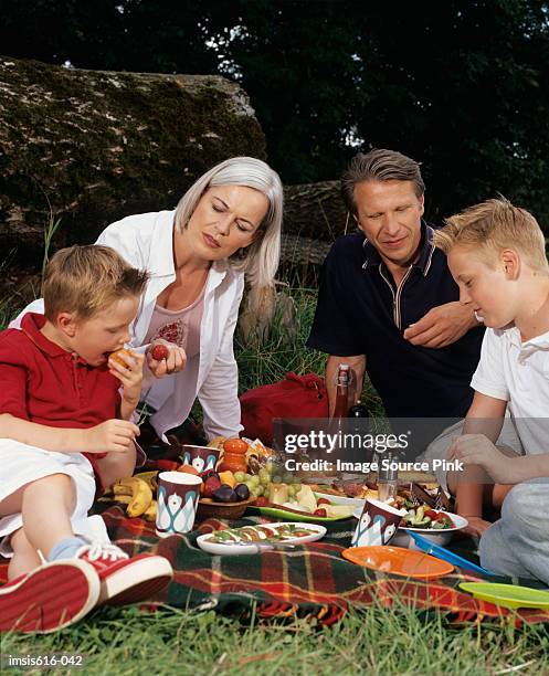 family having a picnic. - front view portrait of four children sitting on rock stock-fotos und bilder