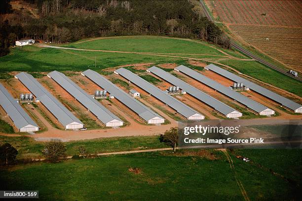 chicken farm - aerial barn stock pictures, royalty-free photos & images