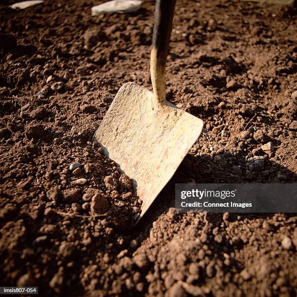 building tool - spade stock pictures, royalty-free photos & images