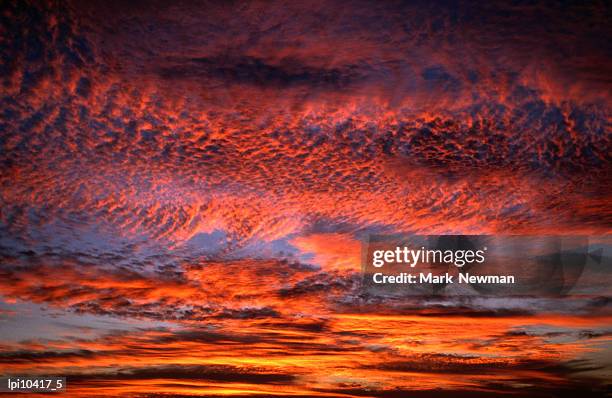 sunset lighting up the kona coast sky, kailua-kona, united states of america - kona coast stockfoto's en -beelden