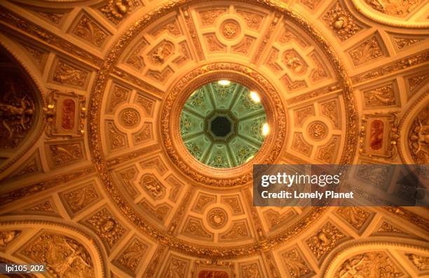 domed ceiling of museum of fine arts. - wiener innenstadt stock-fotos und bilder
