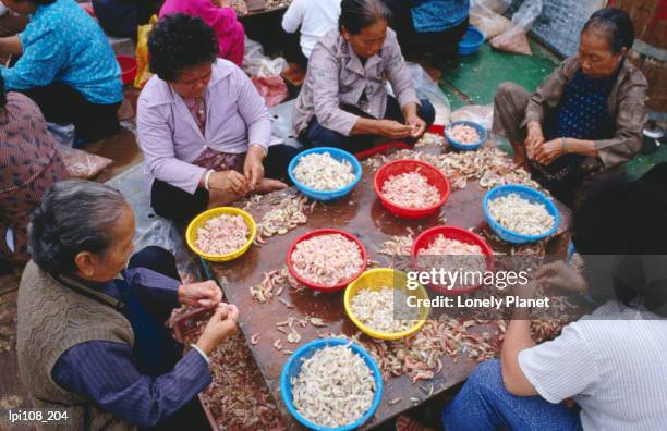 women peeling prawns on table in cheng chau. - cheng cheng fotografías e imágenes de stock