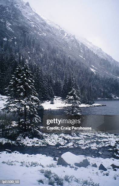 winter at lake, low angle view, lake morskie oko, poland - craig pershouse stock pictures, royalty-free photos & images