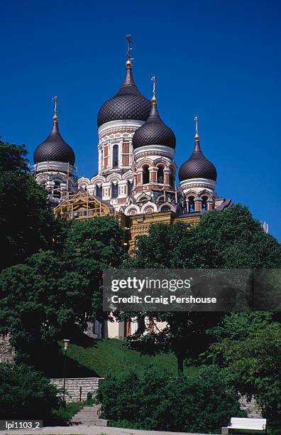 russian orthodox alexandr nevsky cathedral, built between 1894 and 1900, low angle view, tallinn, estonia - cupola a cipolla foto e immagini stock