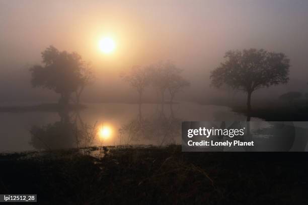 kumana dam at sunrise, kruger national park, south africa - provinz transvaal stock-fotos und bilder