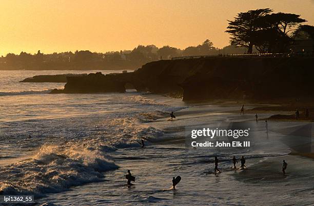 swimmers on beach at sunset, santa cruz, united states of america - santa cruz fotografías e imágenes de stock