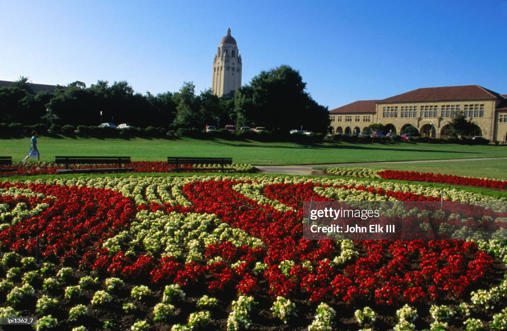 Gardens at Stanford University, Palo Alto, United States of America