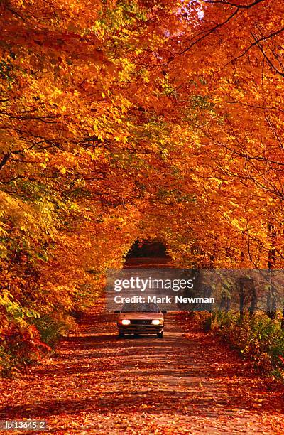 car on back road in autumn, united states of america - backed stock pictures, royalty-free photos & images