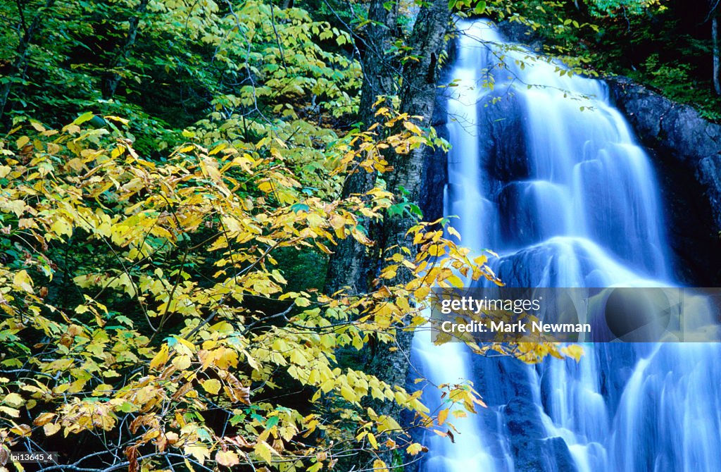 Moss Glen Falls, Green Mountain National Forest, United States of America