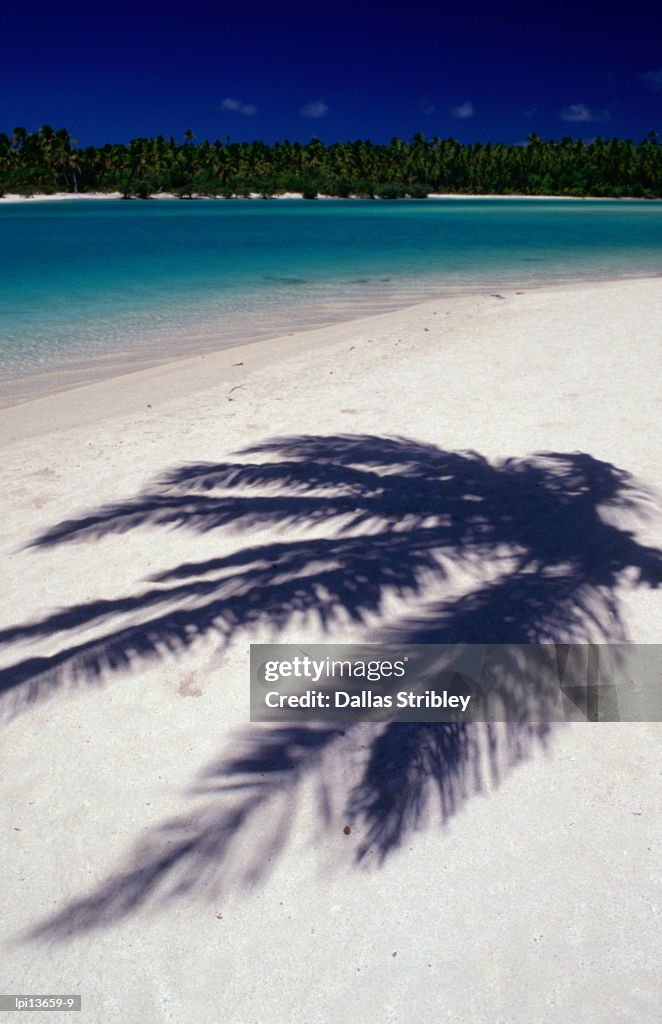 The shadow a palm leaf on the white sand of one of Aitutaki Lagoon's many islands,Aitutaki,Southern Group,Cook Islands,Pacific