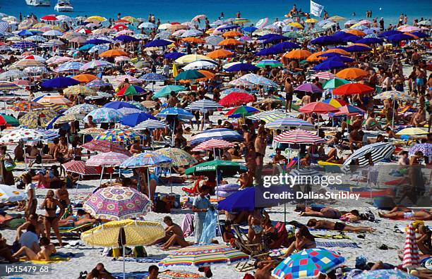 many umbrellas at spiaggia di pelosa. - huddle stock-fotos und bilder