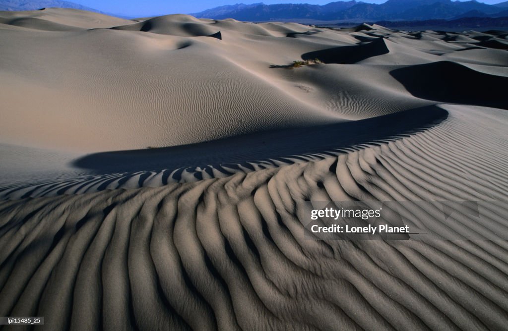 Ripples in sand at Mesquite Sand Dunes, Death Valley National Park, United States of America