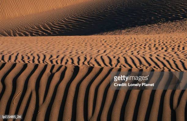 ripples in sand at mesquite sand dunes, death valley national park, united states of america - mesquite flat dunes stock pictures, royalty-free photos & images