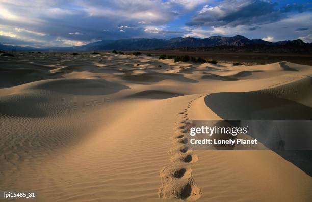 footprints in mesquite sand dunes, death valley national park, united states of america - mesquite flat dunes stock pictures, royalty-free photos & images