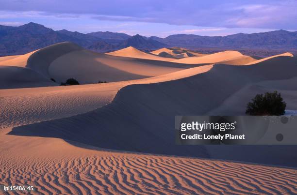 sand ripples at mesquite sand dunes, death valley national park, united states of america - mesquite flat dunes stock pictures, royalty-free photos & images