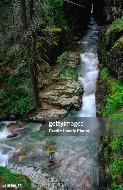 overhead of sunrift gorge, glac1er national park, united states of america - er stock-fotos und bilder