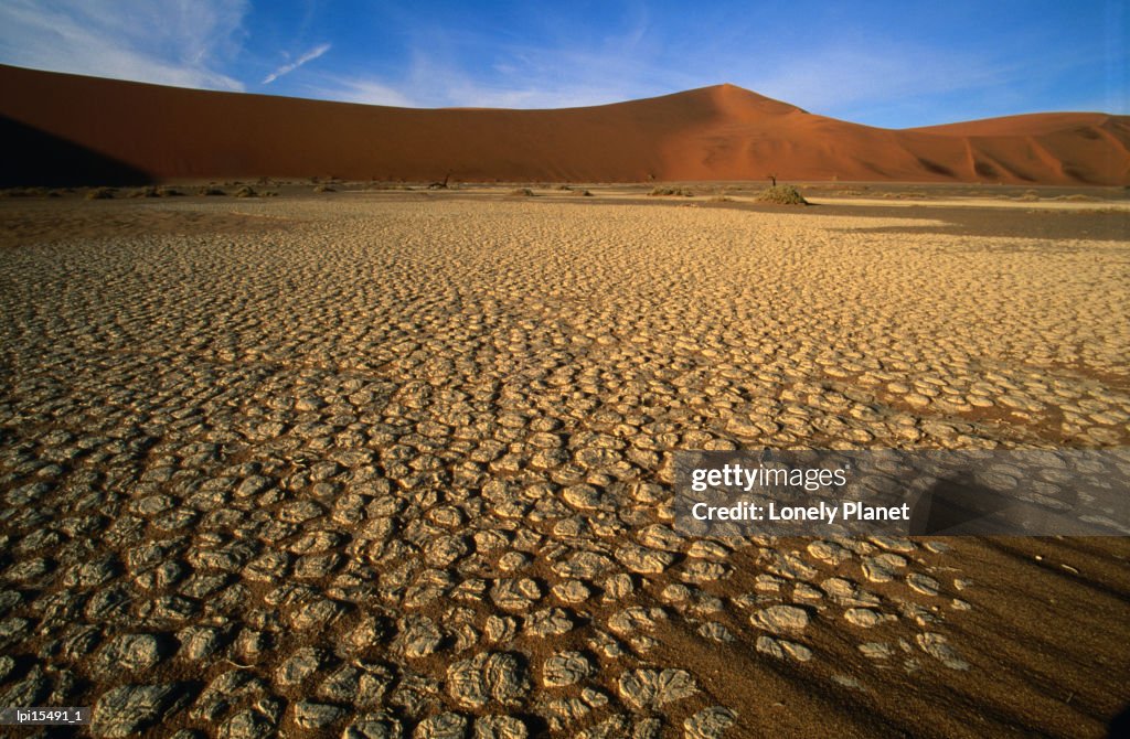 Detail of Hidden Vlei, Namib Desert Park, Namibia