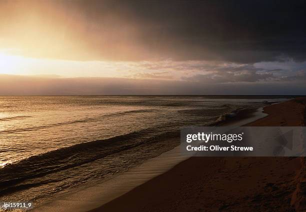 pennyfarther beach near weipa on cape york peninsula, weipa, australia - cape peninsula bildbanksfoton och bilder