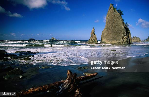 rock formations and driftwood in the wet sand at rialto beach, olympic national park, united states of america - rialto beach stock pictures, royalty-free photos & images